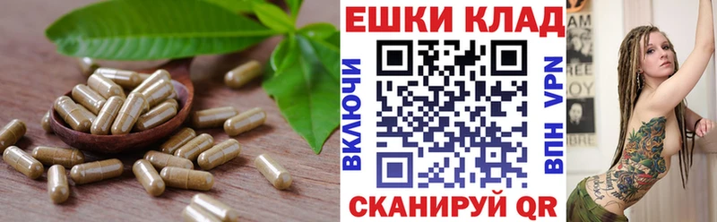 Ecstasy Cube  блэк спрут зеркало  Голицыно 