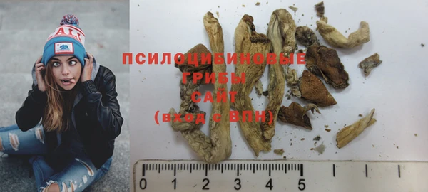 соль ск Балахна