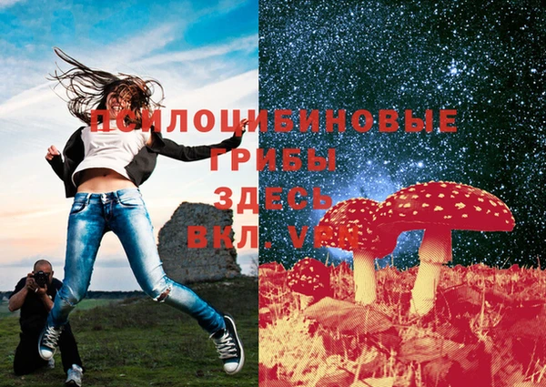 соль ск Балахна