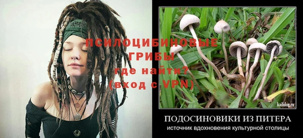 соль ск Балахна