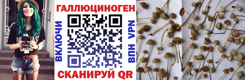 мега зеркало  цены наркотик  Голицыно  Псилоцибиновые грибы мицелий 